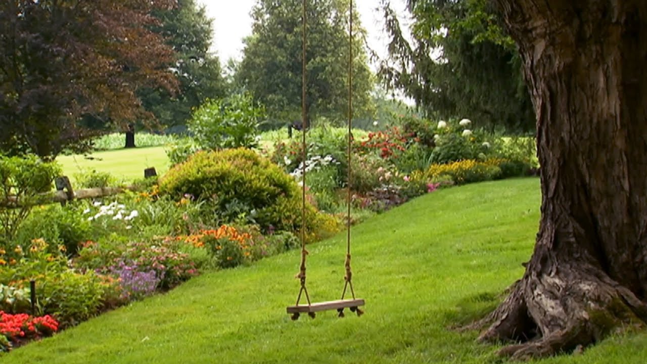 Tree Maintenance example 5
