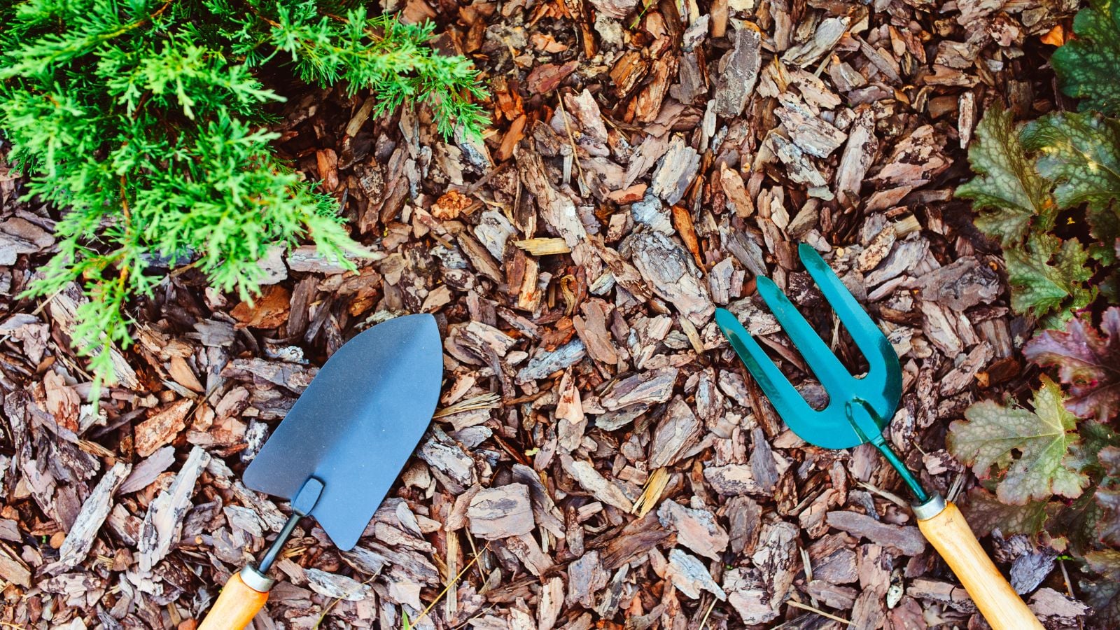 Stump Grinding & Removal example 4