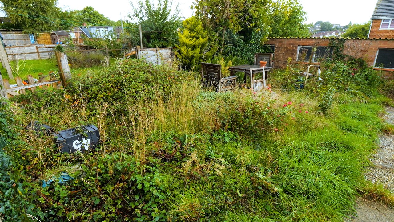 Overgrown Garden Clearance