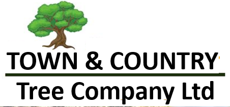Town and Country Tree Company Logo